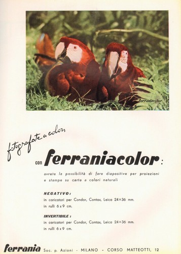 Pubblicita 1953 ferrania - 1953,