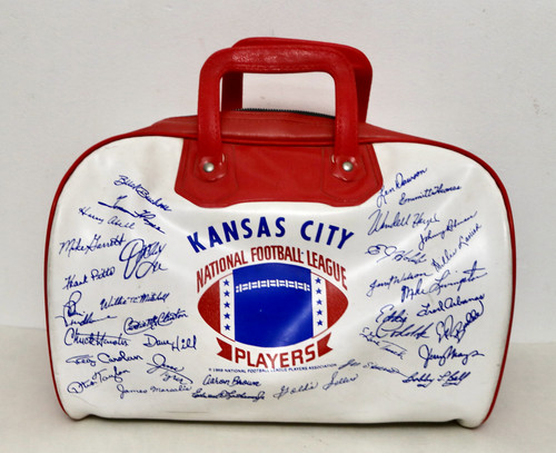 Borsa trasporto vinile - trasporto,