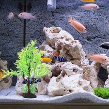  2 Pcs Piante Acquario Finte