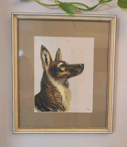 Ritratto cane pastore - , tedesco