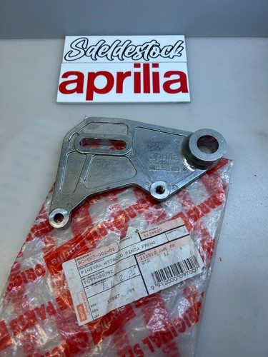 Platine frein arrière - 1,