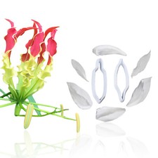 Gloriosa superba set stampo