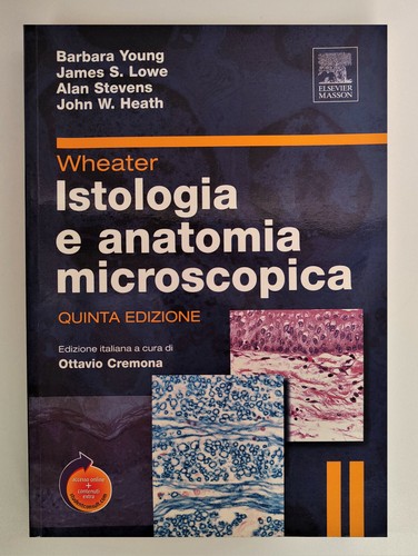 Wheater istologia anotomia - istologia, e