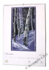 CALENDARIO D'ARTE 2009. -