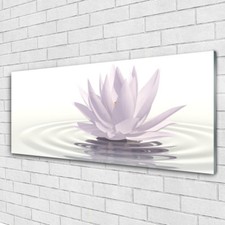 Stampa su vetro arte da parete