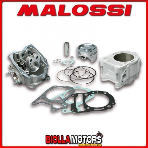 3114700 gruppo termico malossi - gruppo,