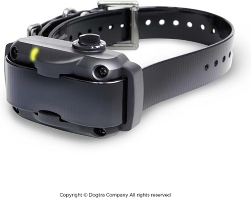 Dogtra ys600 collare - dogtra,