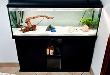 acquario completo xxl 115x40x40 + filtro esterno Askoll + Mobiletto + nursery