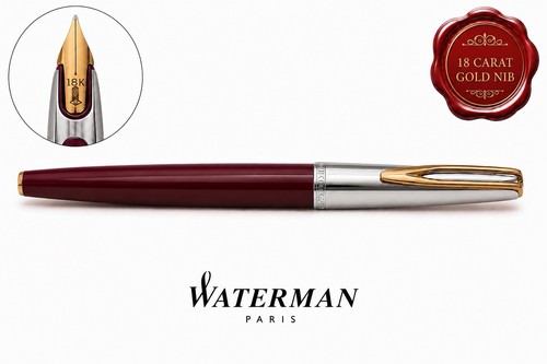 Waterman penna stilografica - penna, cf