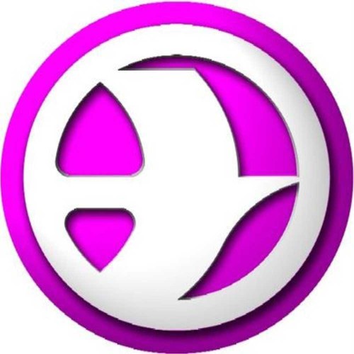 Lizarte sterzo elettrico per - lizarte,