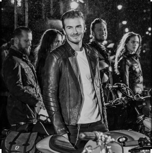 Belstaff kendall pelle - belstaff, kendall-tg.50-pelle