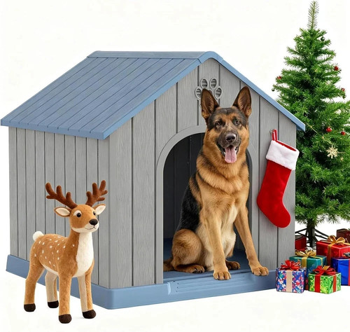 Cuccia per cani grande - cuccia, di