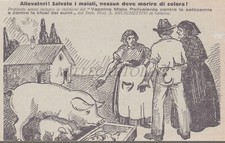 COLERA MAIALI - Vaccino Misto Polivalente Prof. Bruschettini Genova, Cartolina
