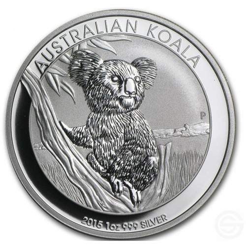 Australia koala 2015 - pm, 1