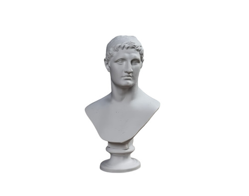 Tolomeo grande busto - grande,