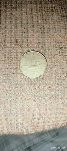 Dollaro canadese 1988