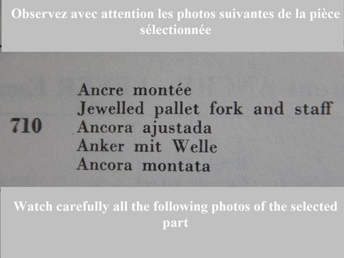Ancre ricambio pallet - di,