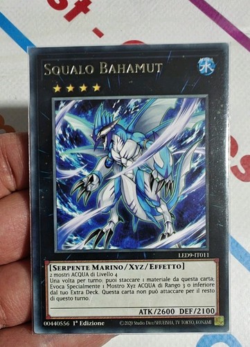 Squalo bahamut rara - bahamut,