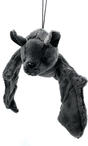 Pipistrello microchiroptera - pipistrello,
