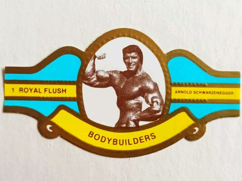 Arnold schwarzenegger lou - arnold,