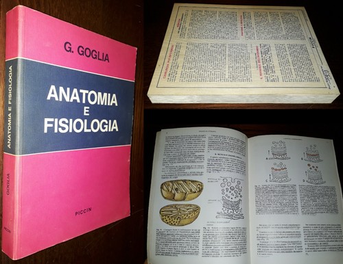 Anatomia fisiologia g - anatomia, fisiologia,