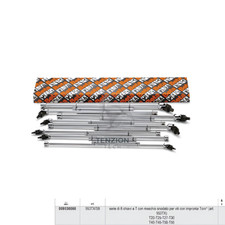 Set 8 Chiavi A T Maschio Torx