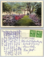 Cartolina Edgewater Gulf Hotel