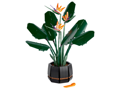 10289 botanicals uccello del - uccello,