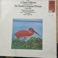 The Chamber Orchestra Of