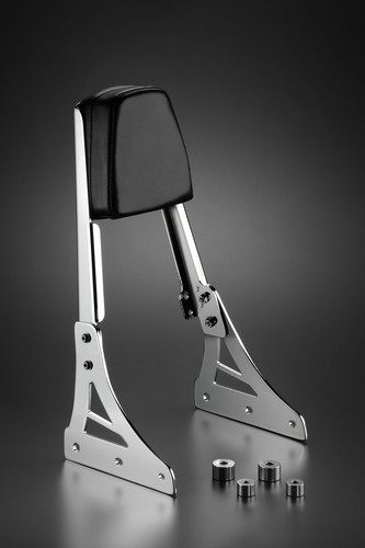 Sissy bar suzuki - bar, intruder