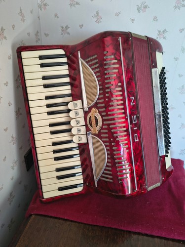 Fisarmonica pigini - fisarmonica,
