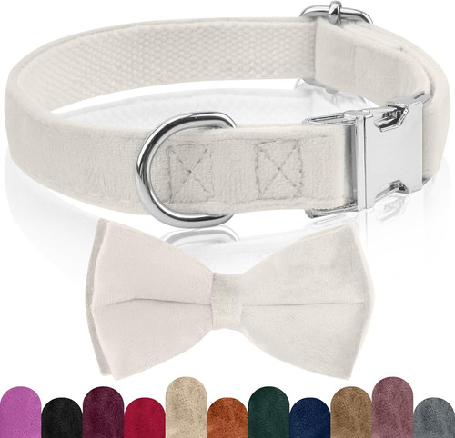 Collare cane papillon - papillon,