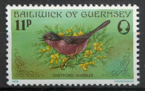 Dartford warbler curruca unda - dartford,