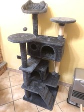 tiragraffi gatto grandi dimensioni xl gioco gatti