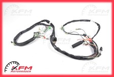 Cablaggio principale Suzuki