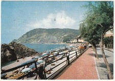 MONTEROSSO AL MARE - LA SPEZIA - PASSEGGIATA DELLE TAMERICI - VIAGG. 1974 -4657-