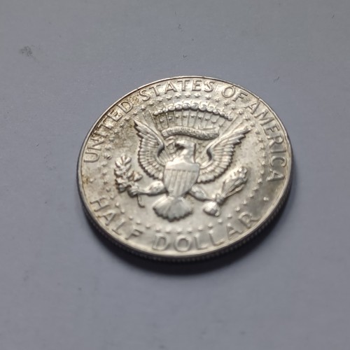 Moneta silver mezzo dollaro - silver,