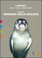 Il nuovo immagini della biologia. Vol. C: Il corpo umano. Con espansione online.
