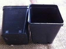 VASI PLASTICA QUADRATI  8x8x9