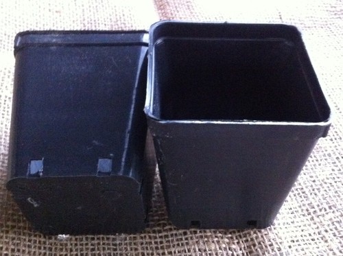 Vasi plastica quadrati 8x8x9 - ,