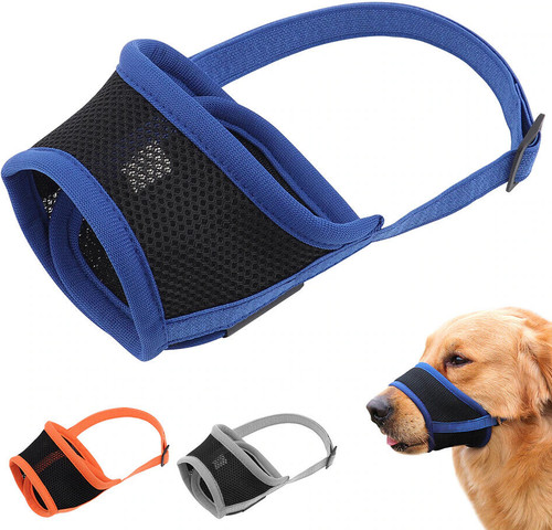 Museruola rete cane animale - cane,
