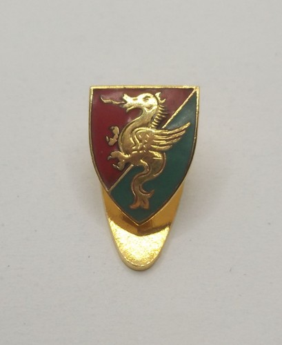 Pin spilletta ternana calcio - pin,