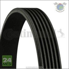 Cinghia alternatore servizy
