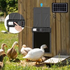 Pollaio Elettrico Porta