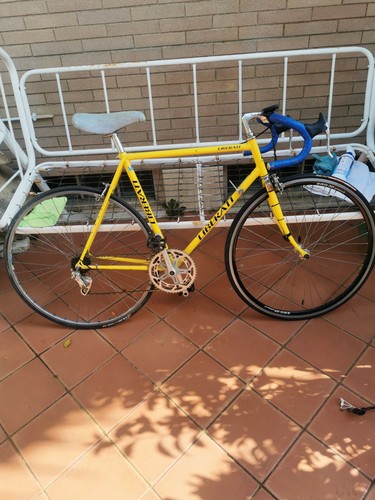 Bicicletta corsa vintage - bicicletta,