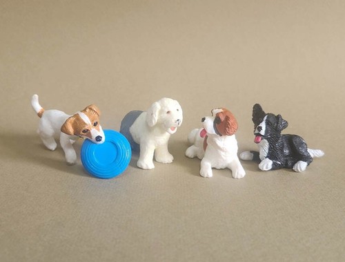 Jack russel cane da - 14_jack,