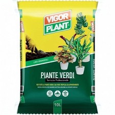 VIGOR PLANT | PIANTE VERDI 10