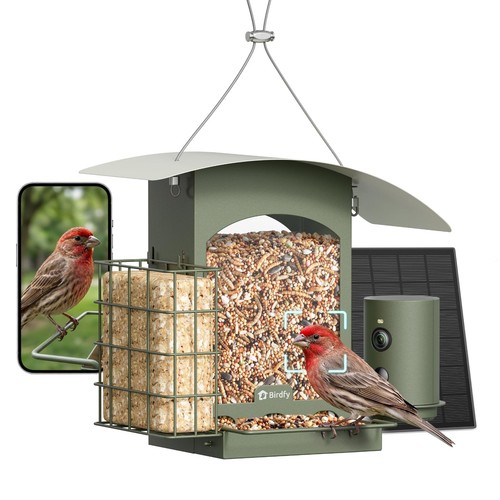 Birdfy alimentatore smart per - alimentatore,
