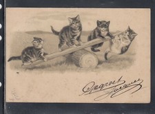 Cartolina Animali Gatti RILIEVO KC34