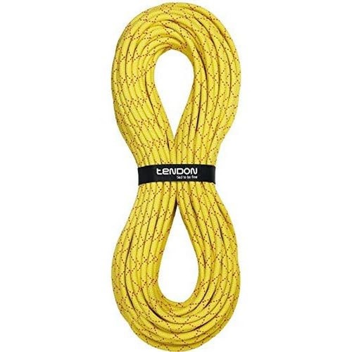 Tendon kong salamander 2 - tendon,